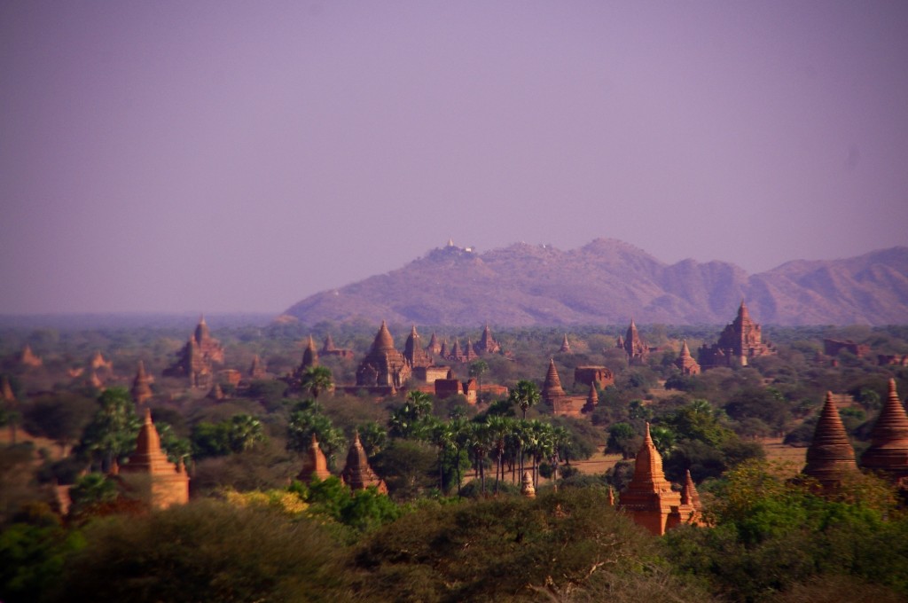 Bagan: Ein schöner Überblick auf das sehr große Gebiet mit seinen unzähligen Tempeln.