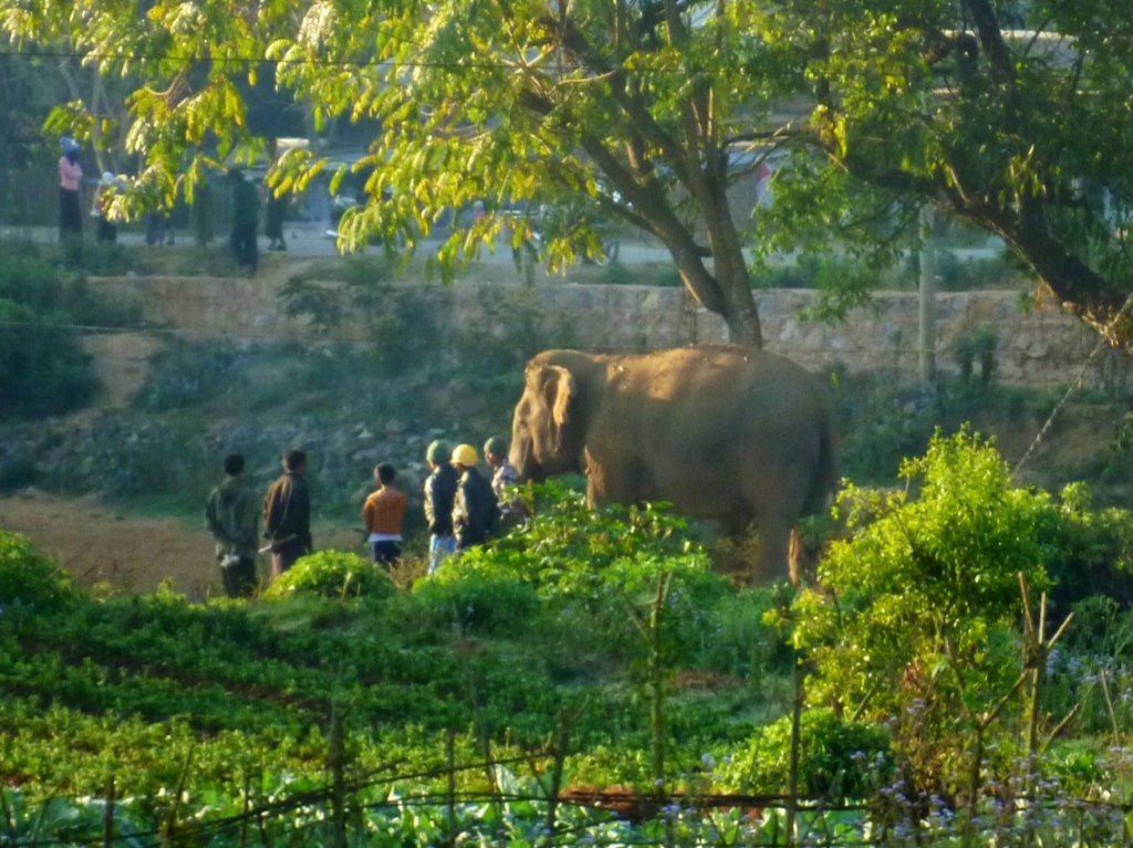 Hsipaw: Ein Arbeitstrupp auf dem Weg zum Dienst
